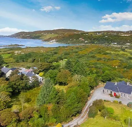 Sycamore * Clifden